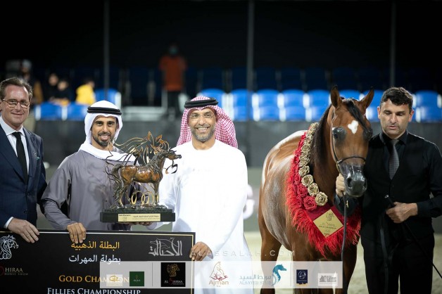 النتائج النهائية بالصور لبطولة الشراع الدولية 2020 لجمال الخيل العربية