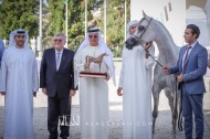 «دبي» يحقق ٦ القاب في بطولة أبوظبي للخيول العربية 2020