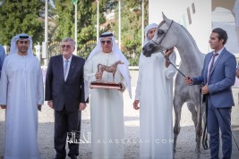 «دبي» يحقق ٦ القاب في بطولة أبوظبي للخيول العربية 2020