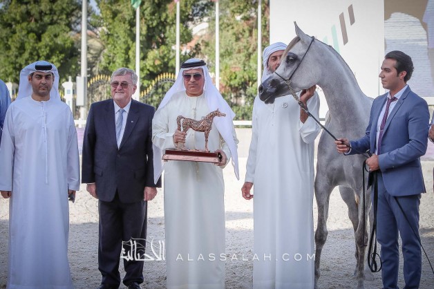 «دبي» يحقق ٦ القاب في بطولة أبوظبي للخيول العربية 2020