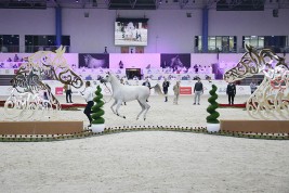 مهرجان الشارقة الدولي الحادي والعشرون للجواد العربي ينطلق غداً الخميس