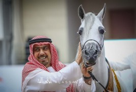 صور مقتطفة من بطولة الشارقة الدولية ٢٠٢٠ لجمال الخيل العربية