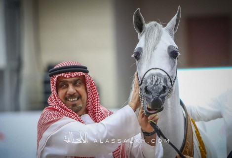 صور مقتطفة من بطولة الشارقة الدولية ٢٠٢٠ لجمال الخيل العربية