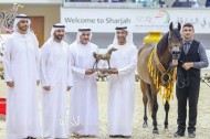«عجمان» يحقق ذهبية و3 برونزيات في مهرجان الشارقة الدولي ٢٠٢٠ للجواد العربي