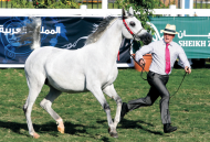 ترقب انجازات جديدة في ابوظبي من عذبة والمحمدية والنايفات والمعود والصواري وسدير والعرب