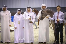 تألق واكتساح لـ «دبي» و «عجمان» في افتتاح دولية دبي للجواد العربي 2020  نتائج اليوم الأول