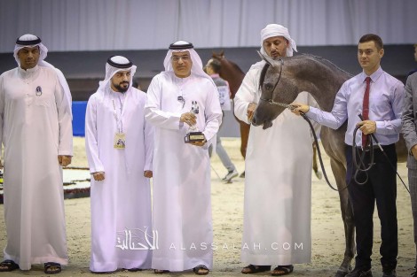 تألق واكتساح لـ «دبي» و «عجمان» في افتتاح دولية دبي للجواد العربي 2020  نتائج اليوم الأول