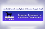 نقل بطولة اوروبا لجمال الخيل 2020 من بلجيكا الى التشيك وتغيير توقيتها