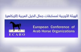 «الايكاهو» تدرك الأوضاع الصعبة جراء “كوفيد19” وترحب بإقامة فئة البطولات الوطنية مع استيفاء الإجراءات الصحية!