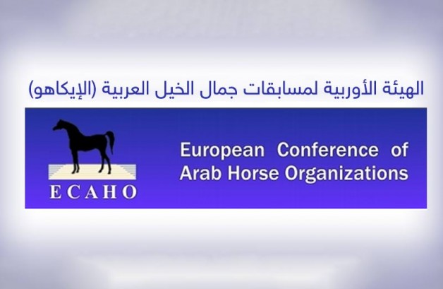 «ايكاهو» تلغي شرط التأهيل للمشاركة في فئة التايتل شو لموسم ٢٠٢٠