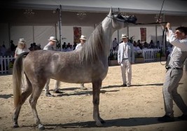 نتائج اليوم الأول لبطولة منتون الدولية 2020