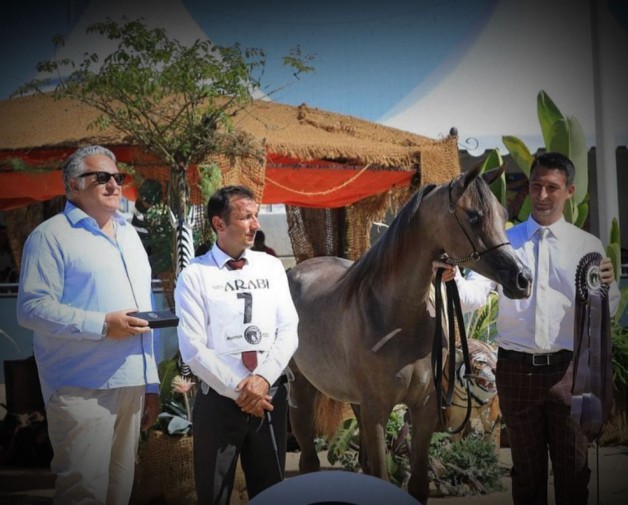 فضيتان وسط منافسة قوية لمربط دبي في بطولة منتون 2020