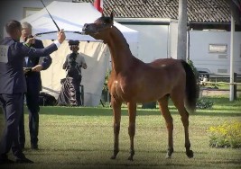 برونزيتان لمربط أكمل في ختام بطولة ستروهن 2020