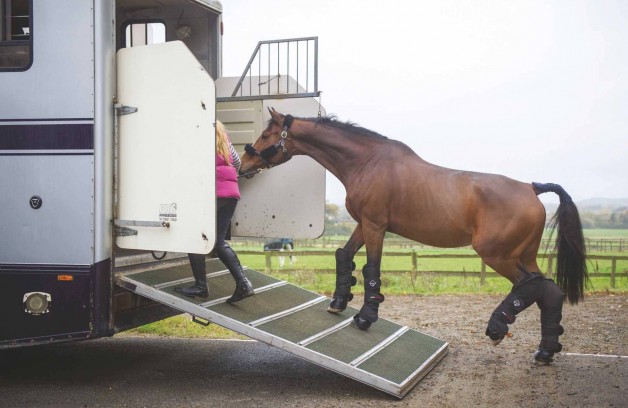 طرق علمية لجعل عملية تحميل الحصان على المقطورة آمنة وبدون مشاكل