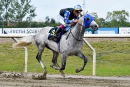 الجواد “مهداف عذبة” يتوج بلقب كأس رئيس الإمارات بالسويد