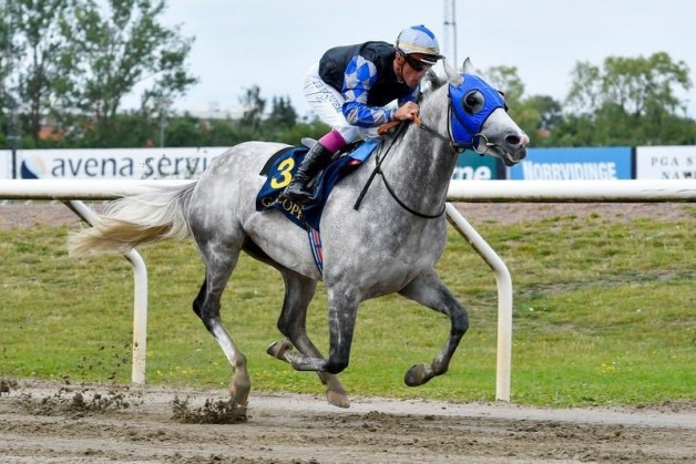 الجواد “مهداف عذبة” يتوج بلقب كأس رئيس الإمارات بالسويد