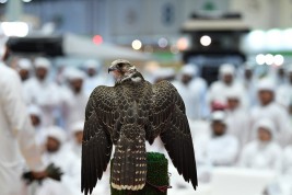 تحويل معرض أبوظبي الدولي للصيد والفروسية إلى مهرجان شامل يمتد لـِ 7 أيام
