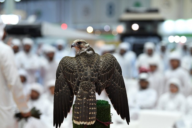 تحويل معرض أبوظبي الدولي للصيد والفروسية إلى مهرجان شامل يمتد لـِ 7 أيام