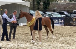 اكسكوسيت تهدي الأوراسية ذهبية «نهاية الاسبوع الدولية» في هولندا .. و ٦ ميداليات من نصيب المرابط العربية