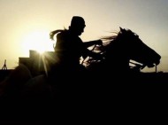 سلالات الخيل العربية الأصيلة من وجهة نظر  «الحقيل» .. ماهي وجهة نظرك؟