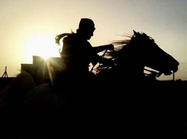 سلالات الخيل العربية الأصيلة من وجهة نظر  «الحقيل» .. ماهي وجهة نظرك؟