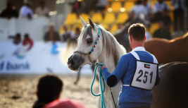 النتائج النهائية لبطولة الكويت الدولية ٢٠١٢