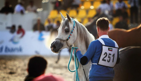 النتائج النهائية لبطولة الكويت الدولية ٢٠١٢