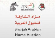 قائمة مزاد الشارقة للخيول العربية تحتوي 75 خيلاً وتقام في 17 اكتوبر المقبل