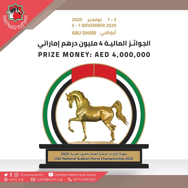 4 ملايين درهم مجموع جوائز بطولة الإمارات الوطنية لجمال الخيول العربية ٢٠٢٠ وإضافة عدد من الجوائز المخصصة للمواطنين