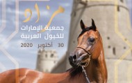 مزاد جمعية الإمارات للخيول العربية بنادي أبوظبي للفروسية مساء اليوم الجمعة