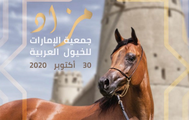 مزاد جمعية الإمارات للخيول العربية بنادي أبوظبي للفروسية مساء اليوم الجمعة