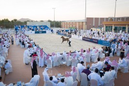 مزاد السيد 2020 الخامس للخيول العربية يقام يوم الجمعة المقبل بالجنادرية – القائمة