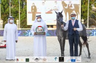 ثنائية ذهبية لإسطبلات الأريام في ختام بطولة الإمارات الوطنية ٢٠٢٠ للخيول العربية