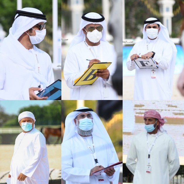 اشادة وتميز التحكيم الإماراتي الخالص للبطولة الوطنية 2020 للخيول العربية