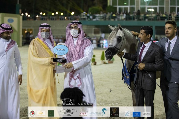 ماركة «السيد» تحلق عالياً في«مكة المكرمة 2020» بسبعة القاب..! ثلاثة للـ«السيد» وأربعة من انتاجه ونسله