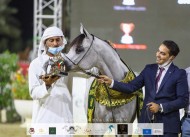 مربط دبي يحصد نصف بطولات مهرجان الشارقة ٢٠٢٠ وتألق لافت لإنتاج المربط