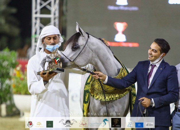 مربط دبي يحصد نصف بطولات مهرجان الشارقة ٢٠٢٠ وتألق لافت لإنتاج المربط