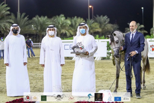 فضية وبرونزية لـ «عجمان» في ختام مهرجان الشارقة للجواد العربي ٢٠٢٠ الإنتاج المحلي