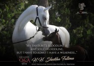 فاطمة بنت هزاع: لا أحب رؤية خيول تشبه الدمى الضعيفة تملك رأس وعنق جميلين ولا تملك غيرها .. اسئلة واجوبة مالكة إسطبلات الشراع