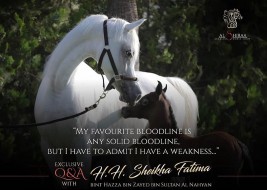 فاطمة بنت هزاع: لا أحب رؤية خيول تشبه الدمى الضعيفة تملك رأس وعنق جميلين ولا تملك غيرها .. اسئلة واجوبة مالكة إسطبلات الشراع