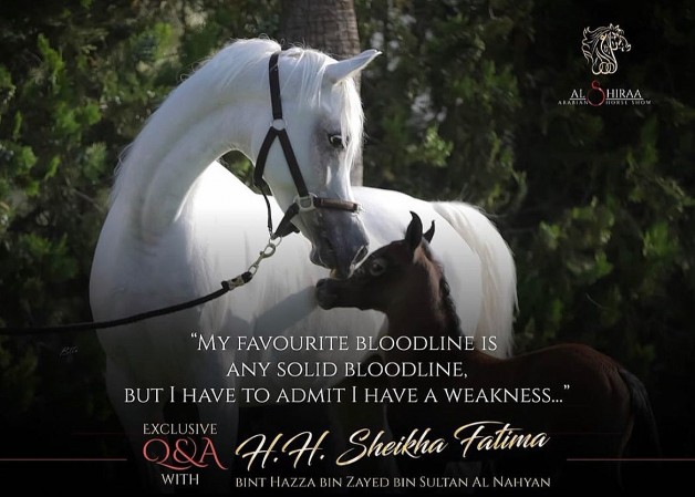 فاطمة بنت هزاع: لا أحب رؤية خيول تشبه الدمى الضعيفة تملك رأس وعنق جميلين ولا تملك غيرها .. اسئلة واجوبة مالكة إسطبلات الشراع