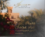 52 خيلاً في مزاد عجمان للخيول العربية غداً الجمعة