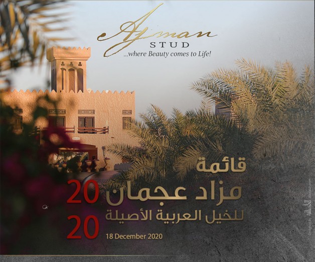 52 خيلاً في مزاد عجمان للخيول العربية غداً الجمعة