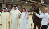 المهر فخر الخالدية يتوج بكأس الخليج للخيل العربية