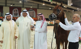 المهر فخر الخالدية يتوج بكأس الخليج للخيل العربية