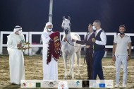 ذهبيتان وبرونزية لمربط دبي في ختام مهرجان الشارقة كلباء