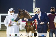 «الأريام» يحقق ذهبيتين في ختام مهرجان الشارقة كلباء 2020 للجواد العربي