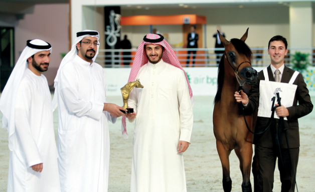 ختام مهرجان الشارقة للجواد العربي اليوم