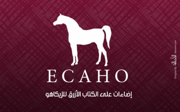 إضاءات على الكتاب الأزرق 2020 للإيكاهو : فئة تايتل شو (T)