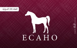 إضاءات على الكتاب الأزرق2020 للإيكاهو : الفئة (A) الدولية